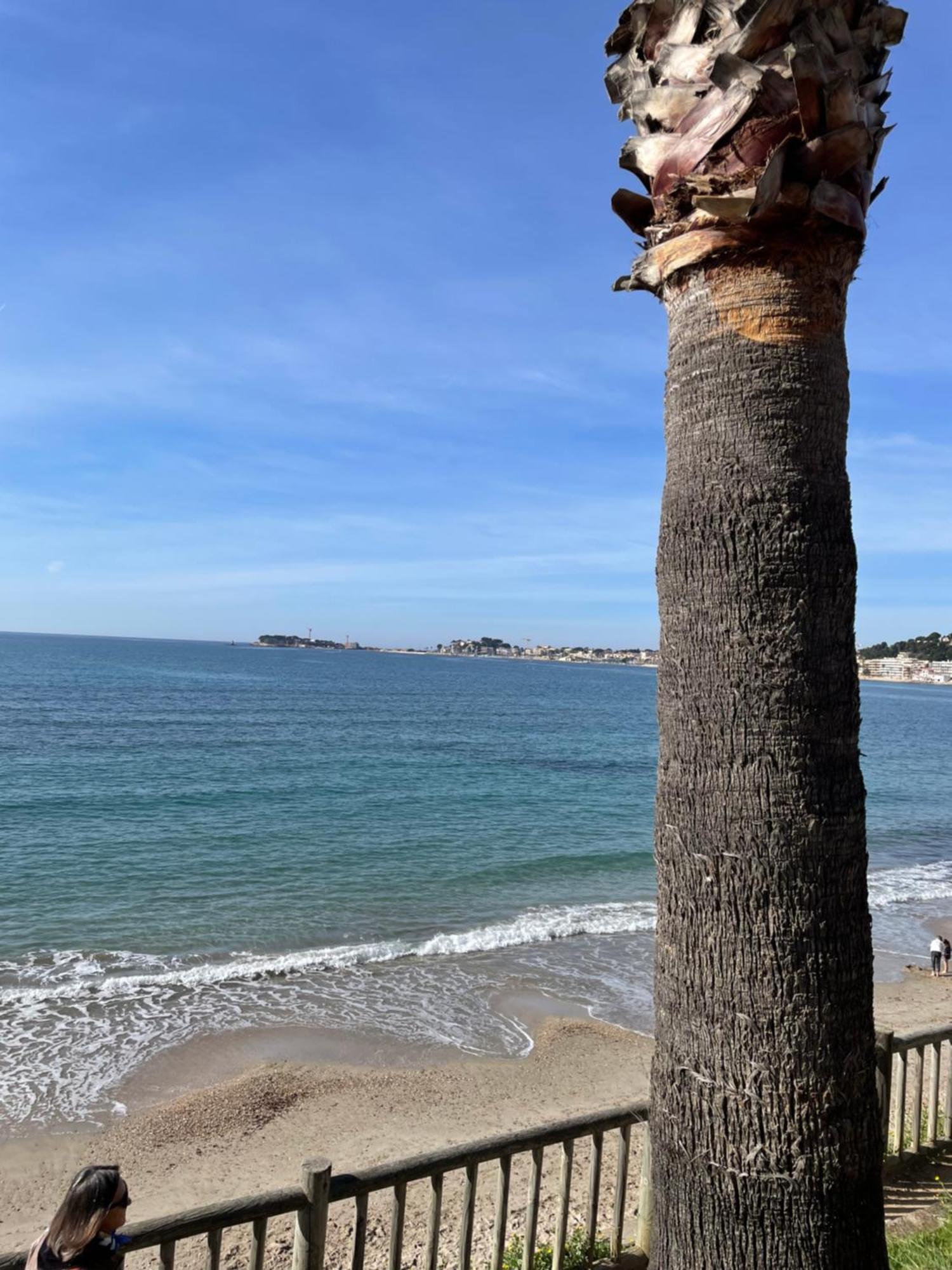 Climatise Piscine Et Proche Sanary-sur-Mer